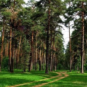 Глэмпинг-комплект "ВЕЛО+КИНО" (на 4 человека) ₽19600