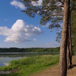 Глэмпинг-комплект "СПА+КИНО" (на 4 человека) ₽12800