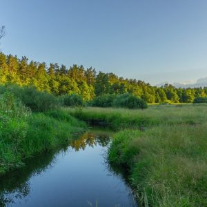 Глэмпинг-комплект "МИНИ" (на 4 человека) ₽9600