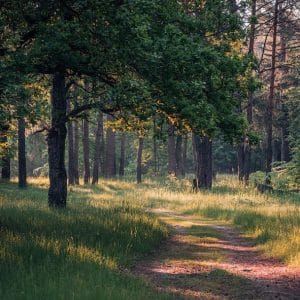 Глэмпинг-комплект "ВЕЛО" (на 4 человека) ₽18000